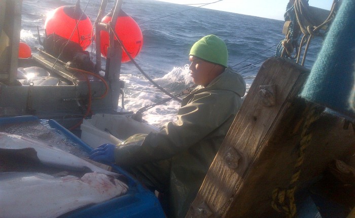 Laurel Lou Halibut Fishing